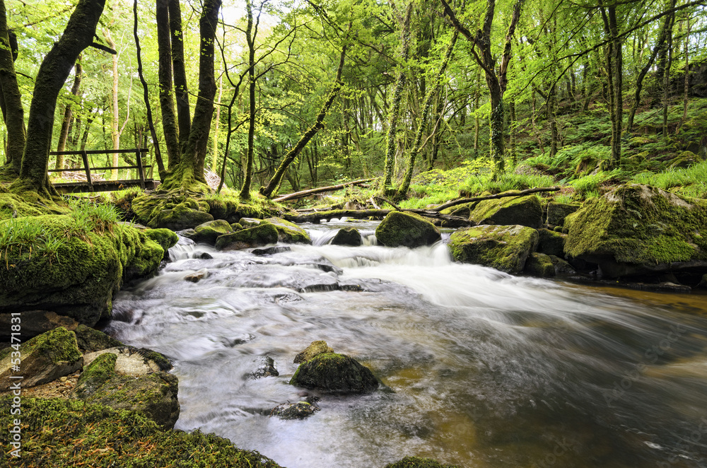 Golitha Falls in Cornwall Golitha Falls in Cornwall
