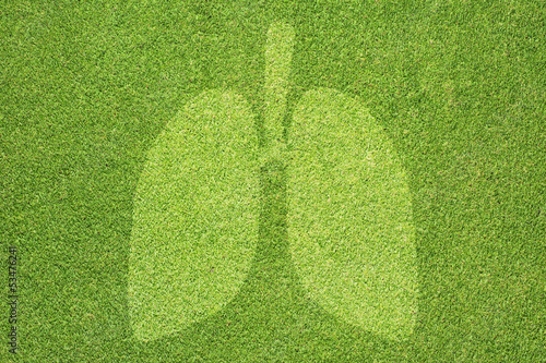 Lung icon on green grass texture and background