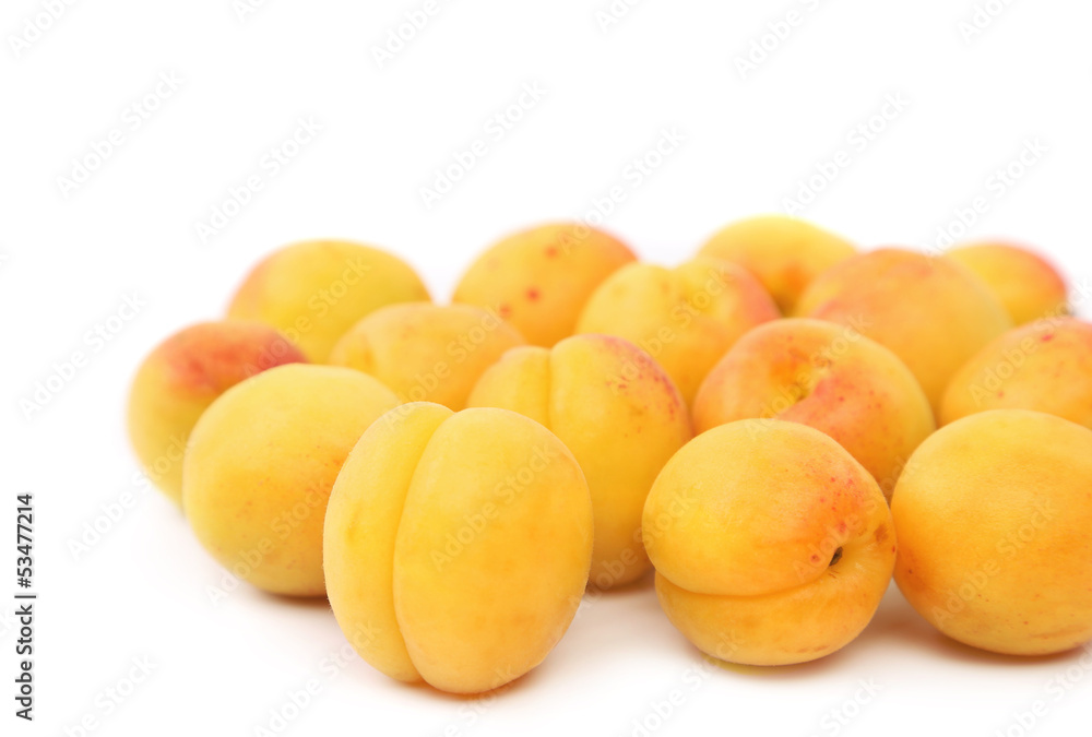 lots of fresh apricots isolated on white lots of fresh apricots isolated on white