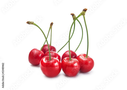 Wallpaper Mural Ciliege Torontodigital.ca