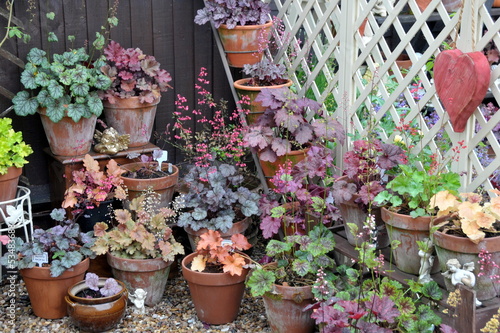 display in pretty garden