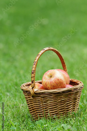 wicker basket full of gala apples