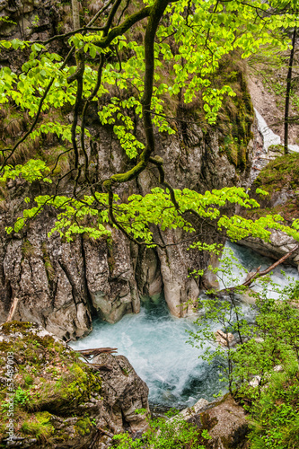 river in a mountain forest