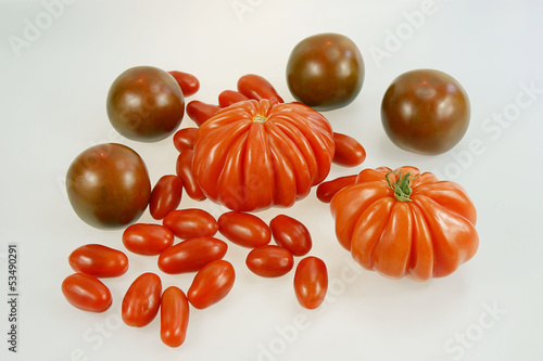 Tomatensorten photo