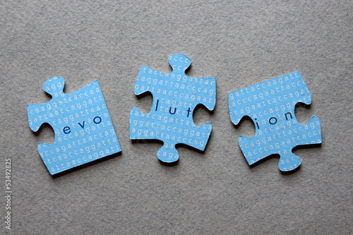Canvastavla Evolution Jigsaw Mismatched