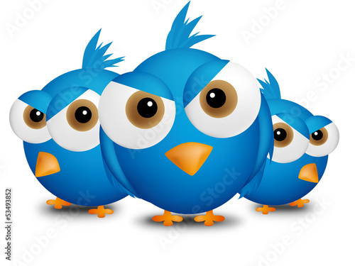angry bords