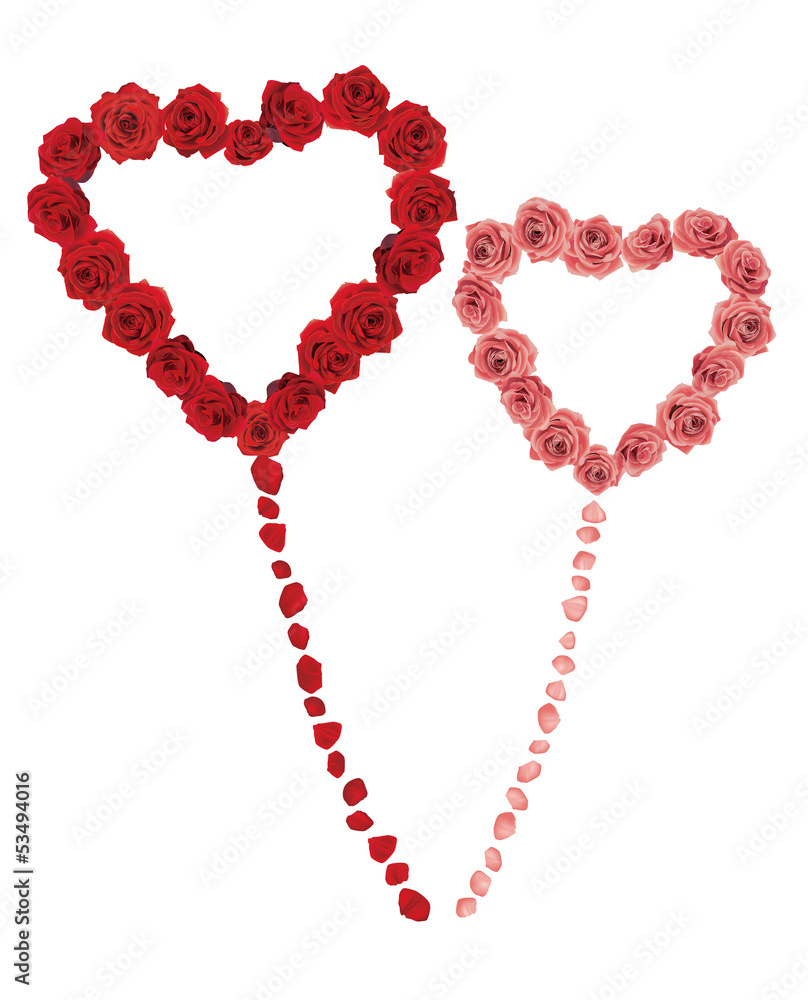 Obraz premium rose heart