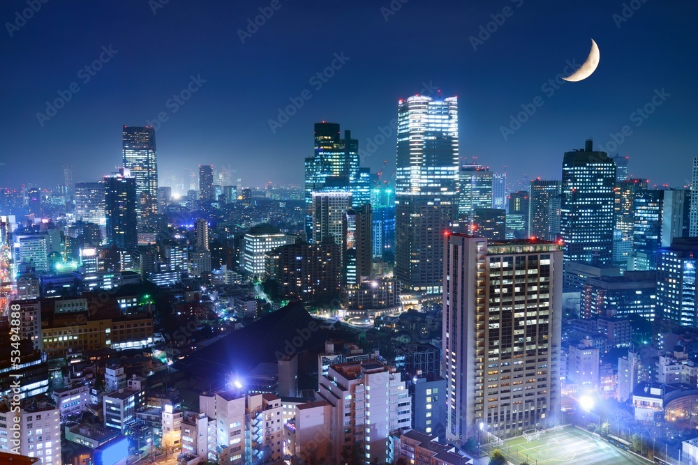Obraz premium Tokyo Cityscape