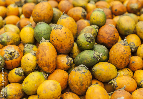 Betel nut put on the ground for drying. (Areca catechu) photo