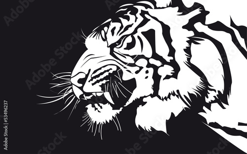 Fototapeta Naklejka Na Ścianę i Meble -  tiger