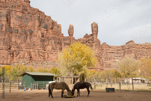 Photos Havasupai tribe village