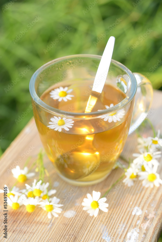 Heißer Kamillentee mit frischen Blüten Heißer Kamillentee mit frischen Blüten