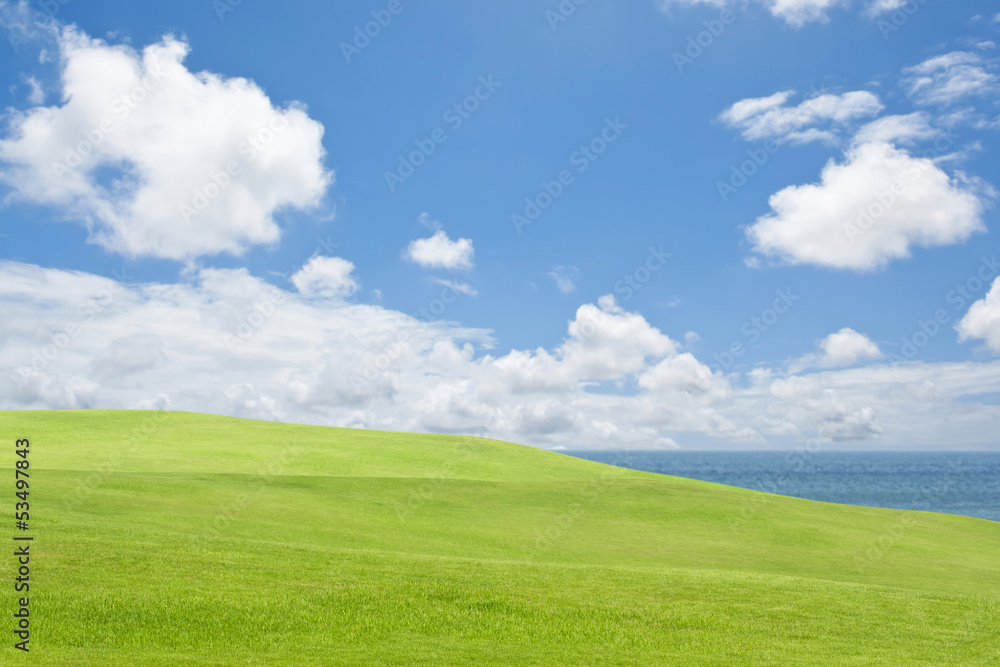 green grass and sea