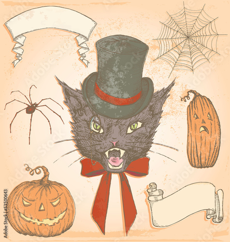 Hand Drawn Vintage Halloween Creepy Cat Vector Set