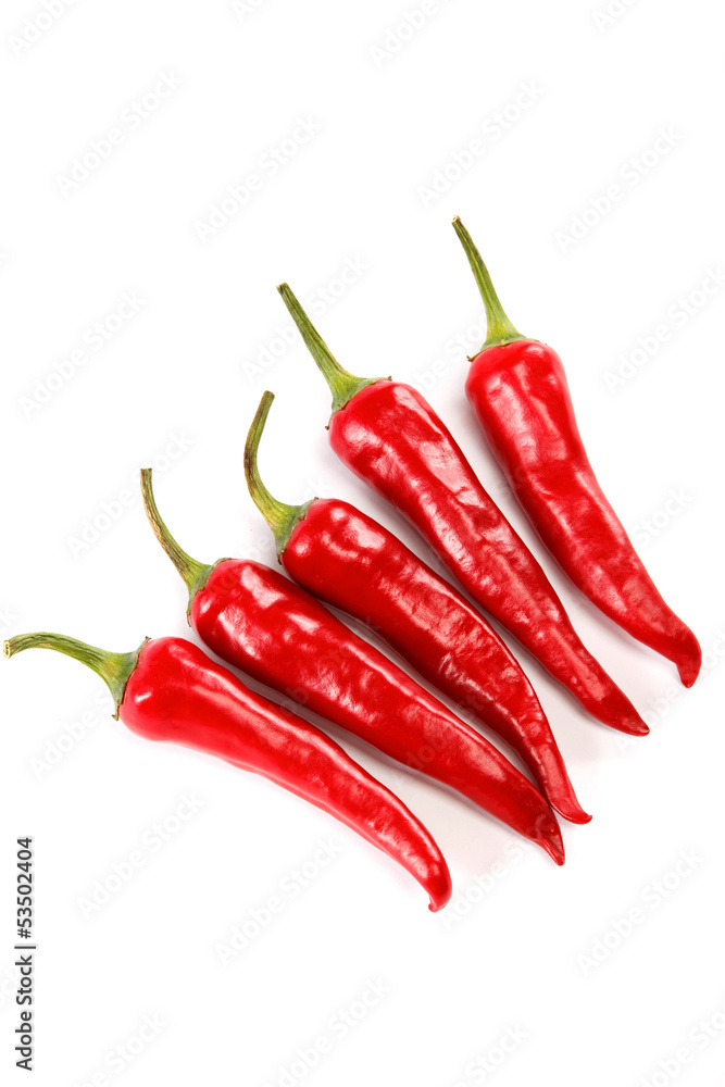 Fresh chili peppers isolated on white background.
