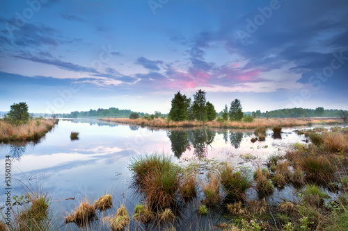Fotografia sunset over swamp in Drenthe