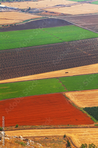 Agriculture carpet