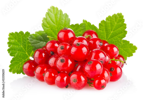 red currant with green leaf