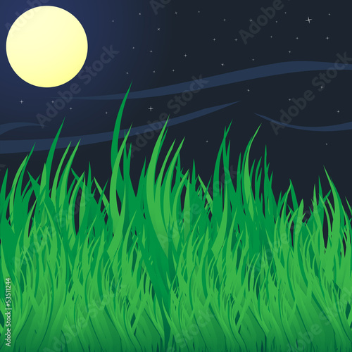 Green grass under moon.