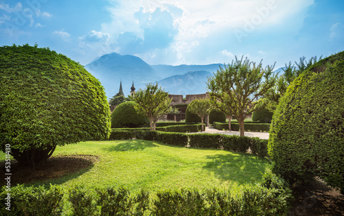 Summer garden with mountain in the background