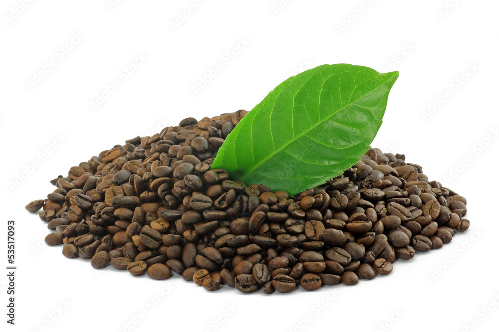 Obraz premium kaffee mit blatt
