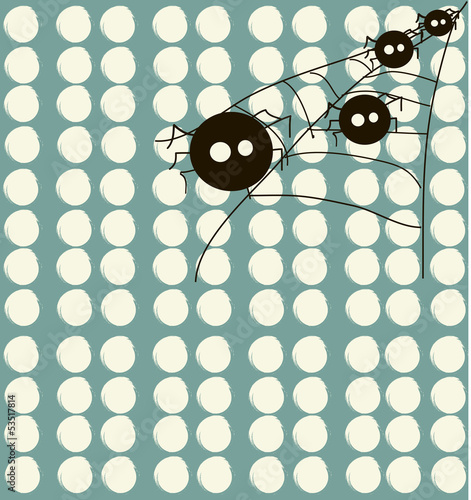 spiders