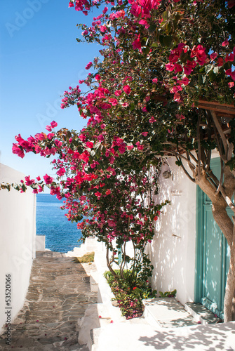 Traditional greek alley on Sifnos island, Greece