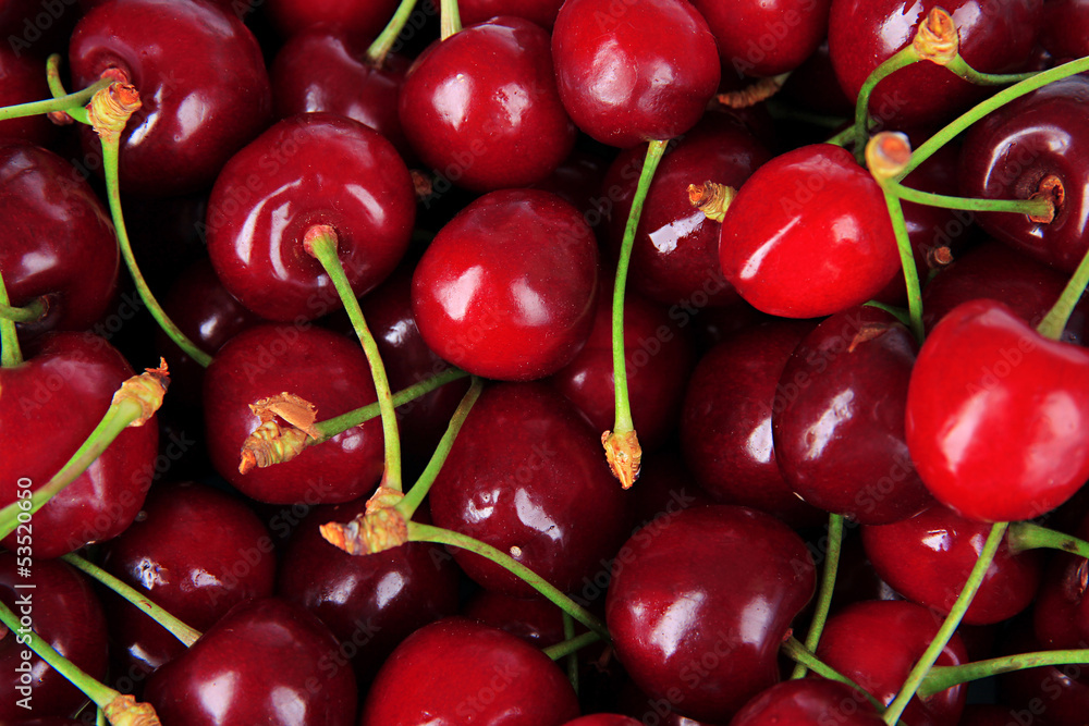 Cherry berries close-up Cherry berries close-up