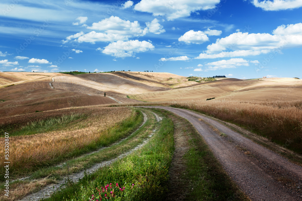 Road between the Fields of Tuscany, Italy