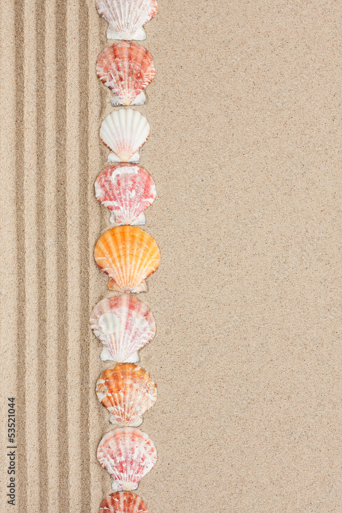 Stripe of seashells lying on the sand