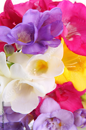 Beautiful bouquet of freesias  close up