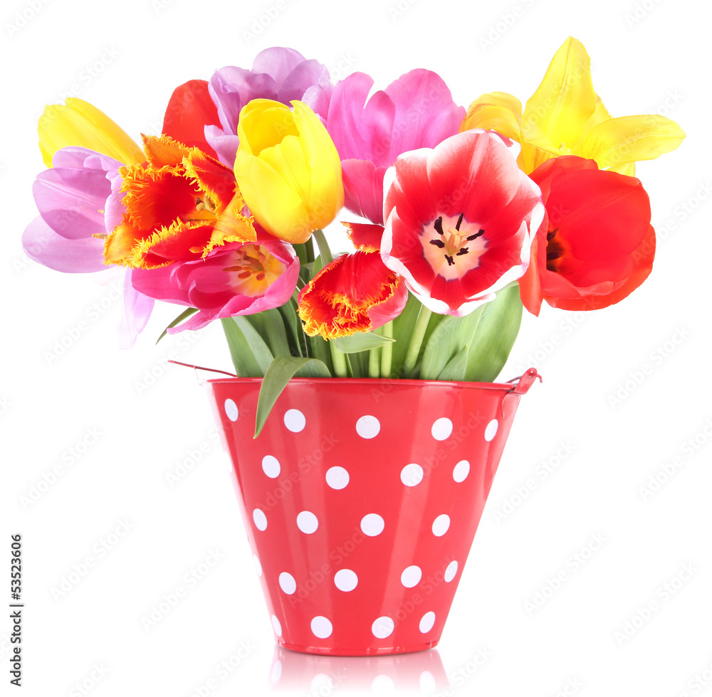 Obraz premium Beautiful tulips in bouquet isolated on white