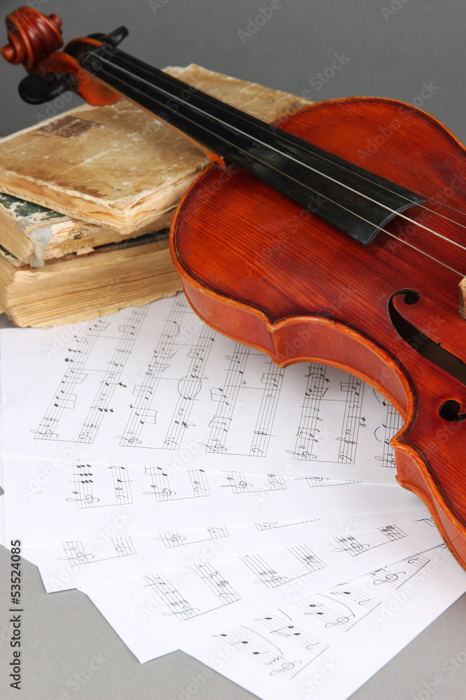 Naklejka premium Classical violin on notes