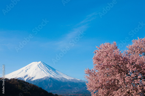 河口湖の桜と富士山