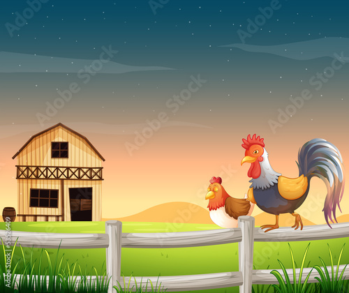 A rooster and a chicken near the barnhouse