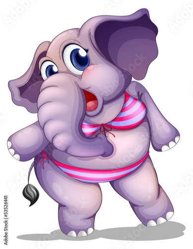 An elephant wearing a bikini