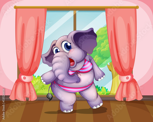An elephant wearing a swimwear