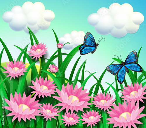 Butterflies at the garden with pink flowers