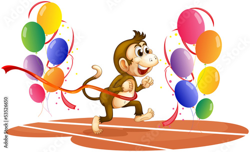 A monkey racing