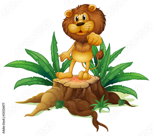 Fototapeta Naklejka Na Ścianę i Meble -  A lion above a stump standing