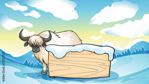 A yak at the back of an empty signboard