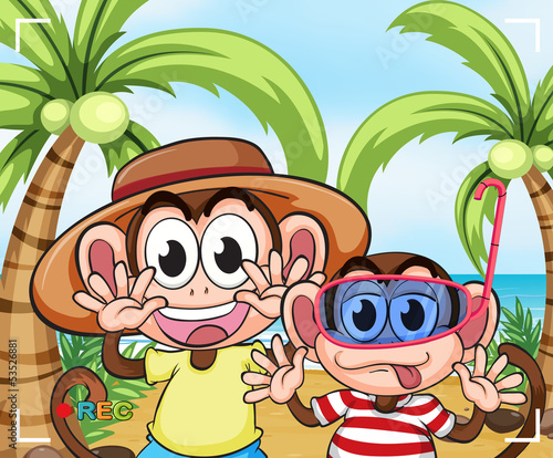Funny monkeys at the beach