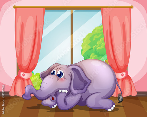 A worried face of an elephant inside the room