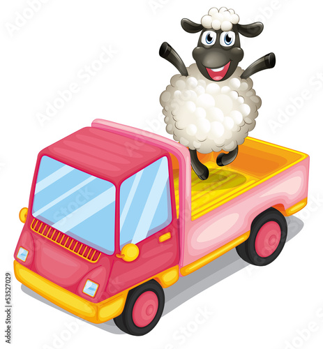 A sheep standing at the back of a truck