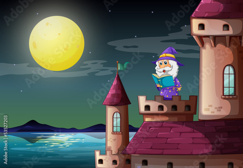 A castle port with a wizard reading a book
