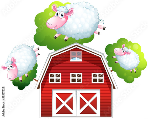 Three jumping sheeps