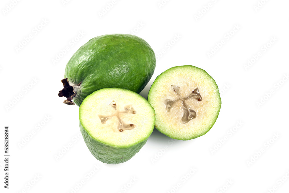Feijoa (Acca sellowiana)