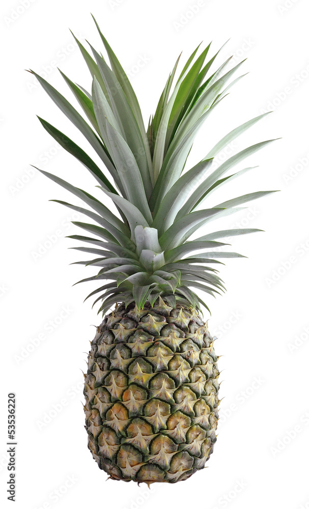 Fresh ripe pineapples isolated on white background Fresh ripe pineapples isolated on white background