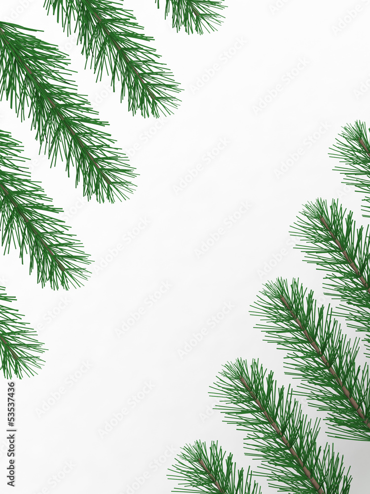 pine branches with empty space pine branches with empty space