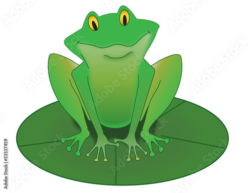Grenouille rieuse